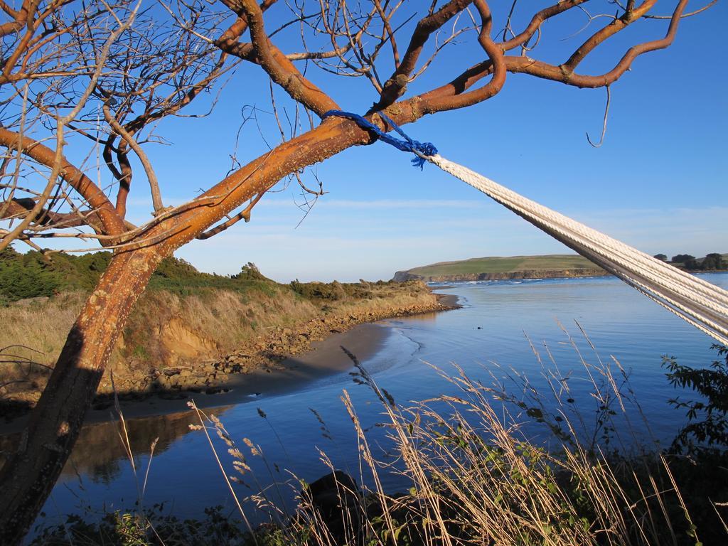 Catlins Newhaven Holiday Park Owaka Oda fotoğraf