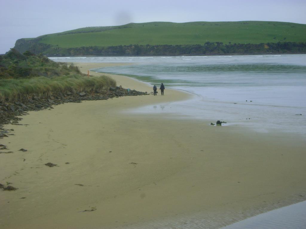Catlins Newhaven Holiday Park Owaka Dış mekan fotoğraf
