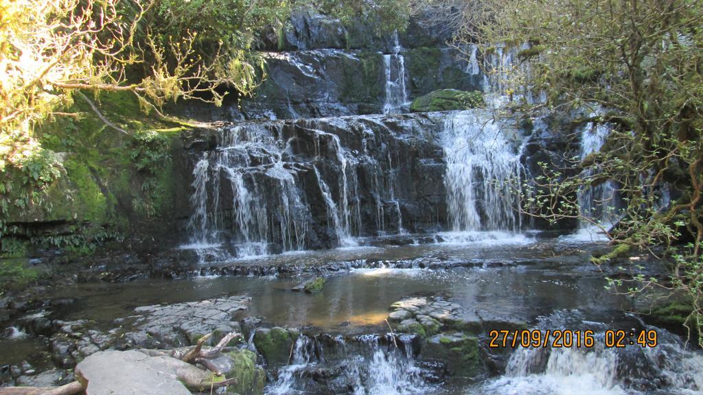 Catlins Newhaven Holiday Park Owaka Dış mekan fotoğraf
