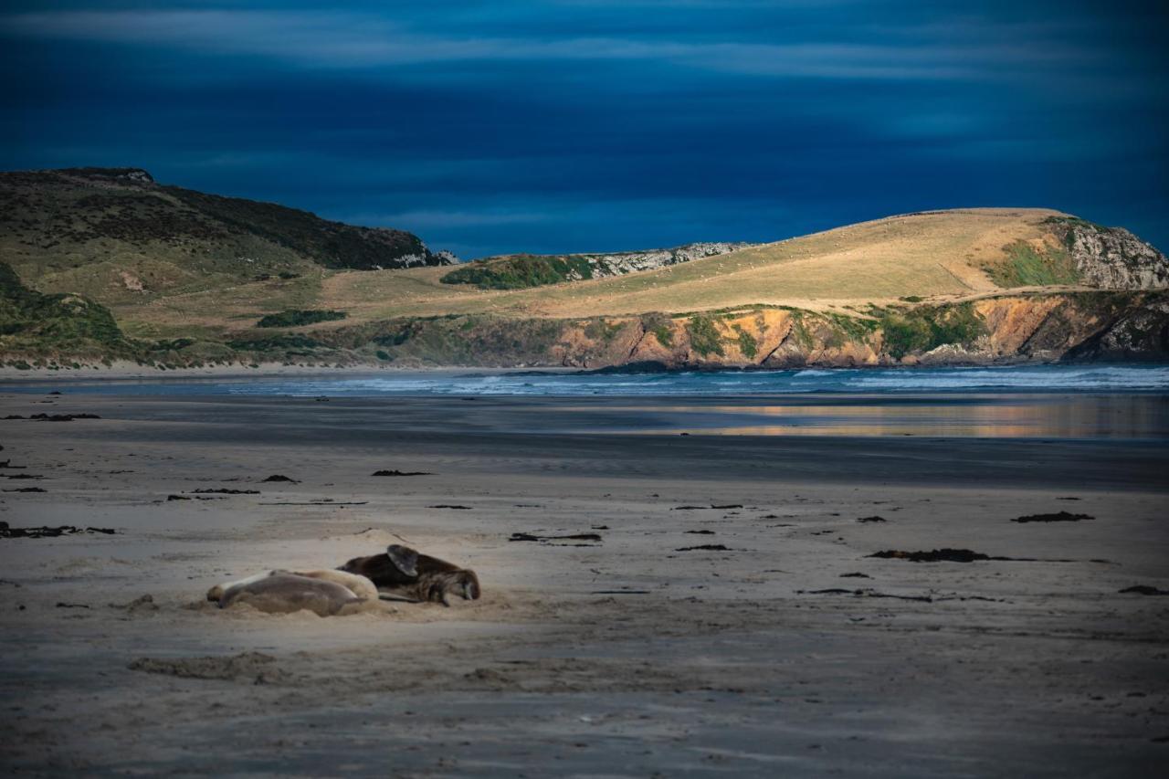 Catlins Newhaven Holiday Park Owaka Dış mekan fotoğraf